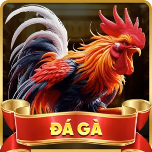 Đường dây nóng