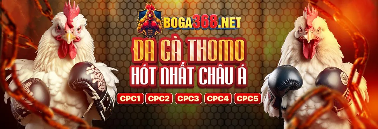 Đá gà kịch tính tại fabet
