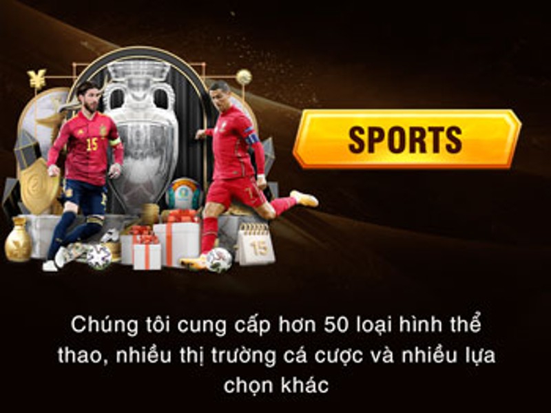Cá cược thể thao fabet